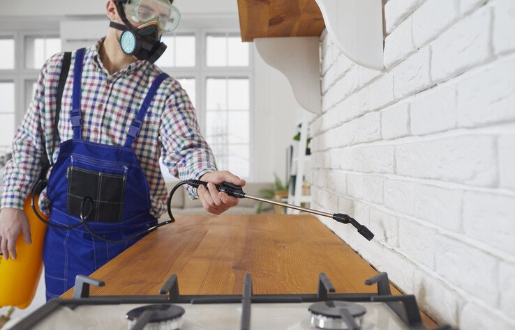 10 Common Pest Control Mistakes Homeowners Should Avoid